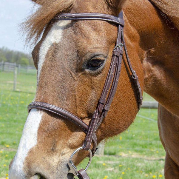 Paris Tack Raised Fancy Stitch Leather English Schooling Bridle with Laced Reins - Image 7