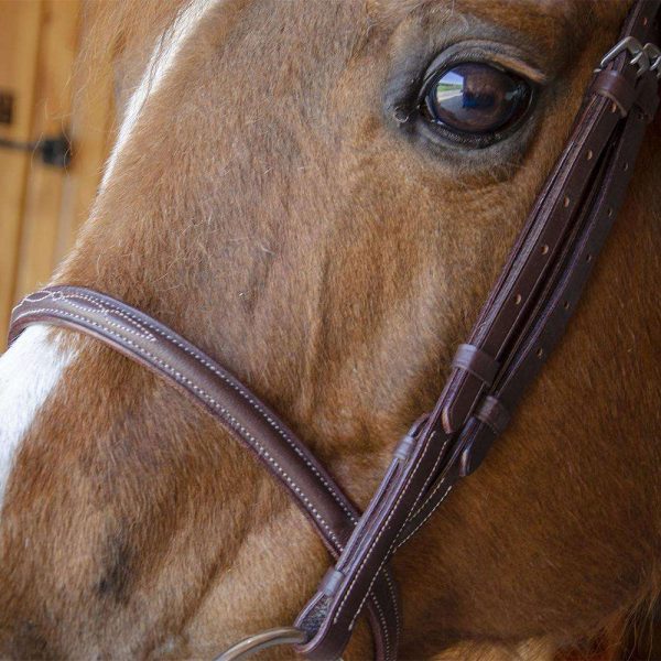 Paris Tack Raised Fancy Stitch Leather English Schooling Bridle with Laced Reins - Image 9