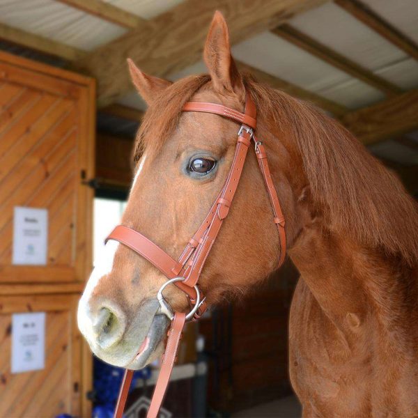 Paris Tack Classic Flat Leather English Hunt Bridle with Laced Reins and 1 Year Warranty - Image 6