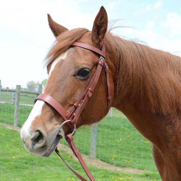 Paris Tack Classic Flat Leather English Hunt Bridle with Laced Reins and 1 Year Warranty - Image 5