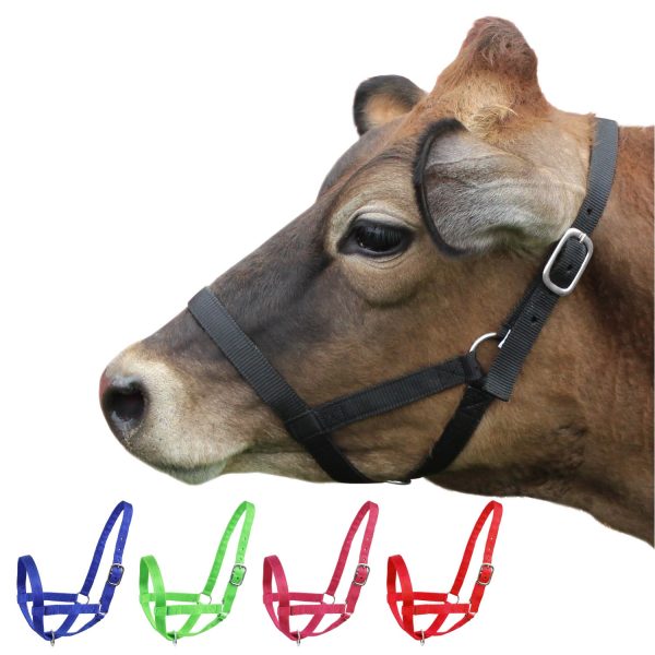 Derby Originals Adjustable Nylon Livestock Cattle Halters Available in Multiple Colors - Image 3