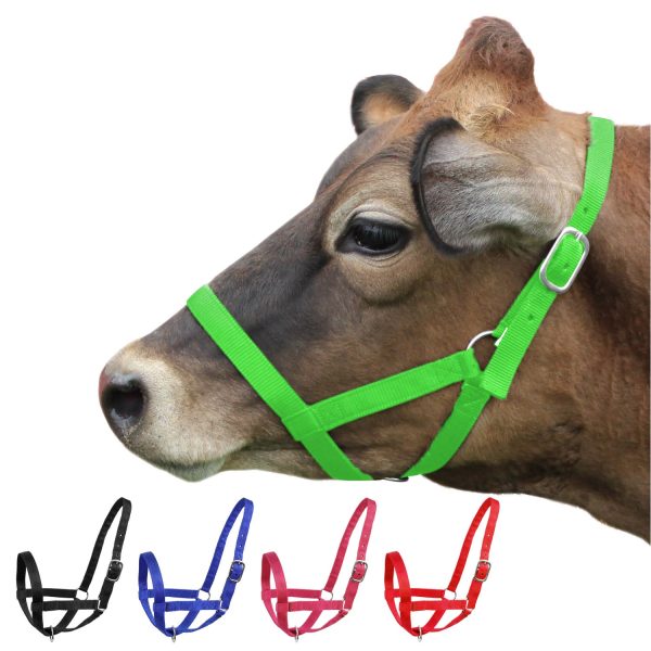 Derby Originals Adjustable Nylon Livestock Cattle Halters Available in Multiple Colors - Image 4