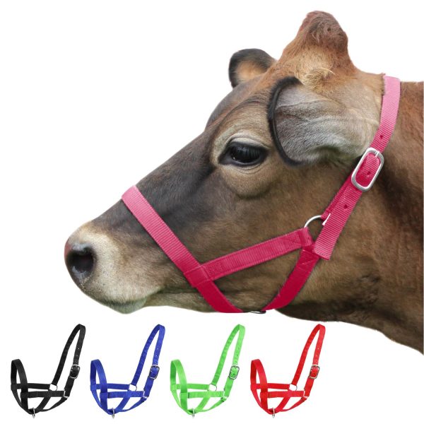 Derby Originals Adjustable Nylon Livestock Cattle Halters Available in Multiple Colors - Image 5