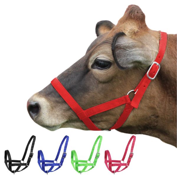 Derby Originals Adjustable Nylon Livestock Cattle Halters Available in Multiple Colors - Image 6