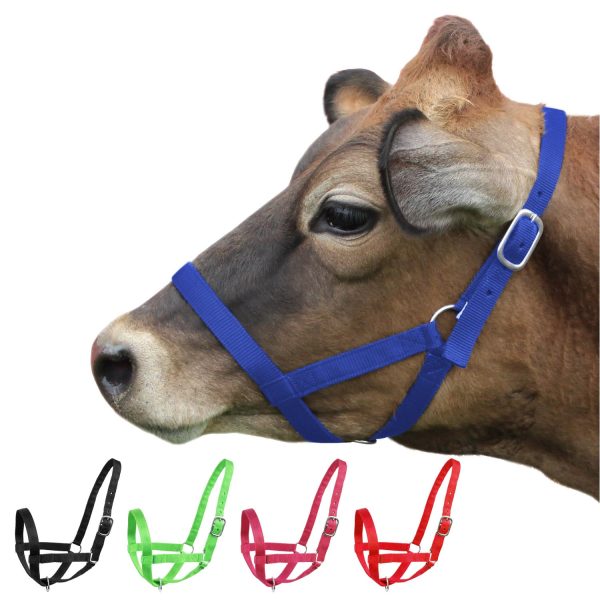 Derby Originals Adjustable Nylon Livestock Cattle Halters Available in Multiple Colors