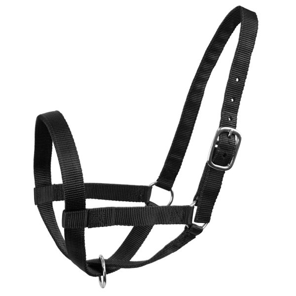 Derby Originals Adjustable Nylon Livestock Cattle Halters Available in Multiple Colors - Image 13