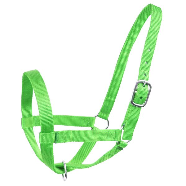 Derby Originals Adjustable Nylon Livestock Cattle Halters Available in Multiple Colors - Image 14