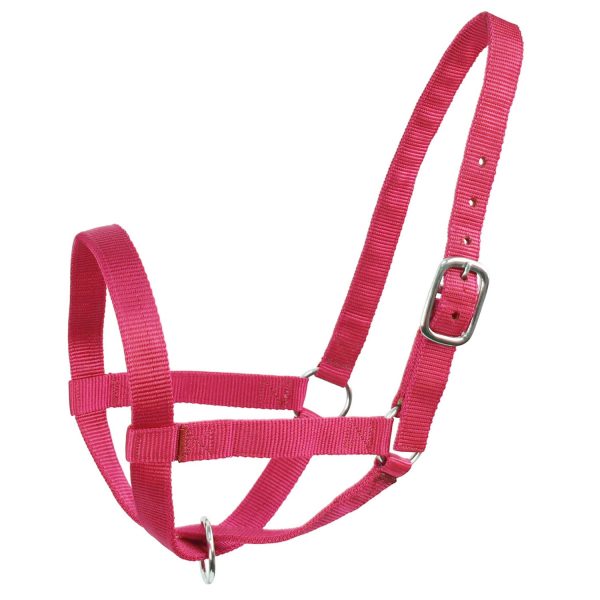 Derby Originals Adjustable Nylon Livestock Cattle Halters Available in Multiple Colors - Image 15