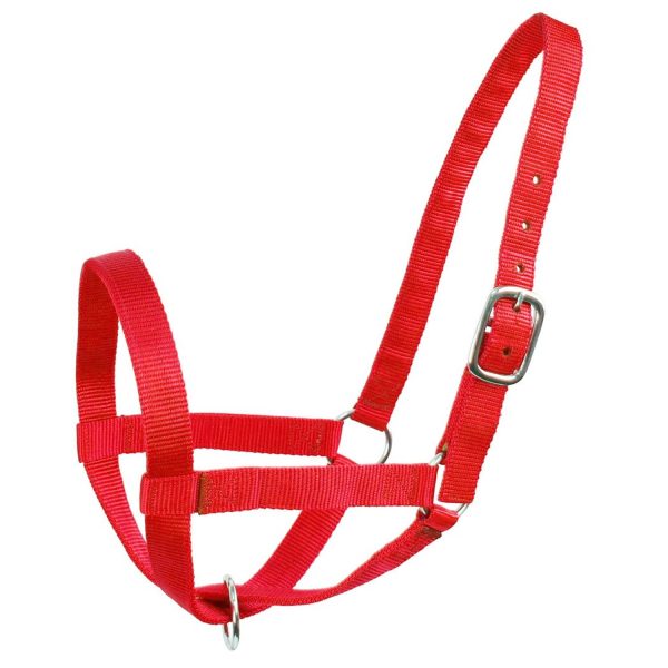 Derby Originals Adjustable Nylon Livestock Cattle Halters Available in Multiple Colors - Image 16