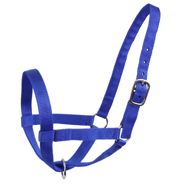 Derby Originals Adjustable Nylon Livestock Cattle Halters Available in Multiple Colors - Image 17