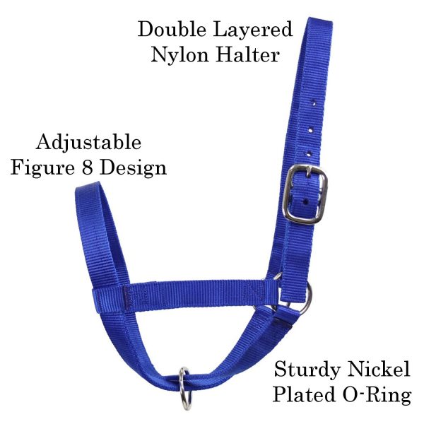 Derby Originals Adjustable Nylon Livestock Cattle Halters Available in Multiple Colors - Image 10