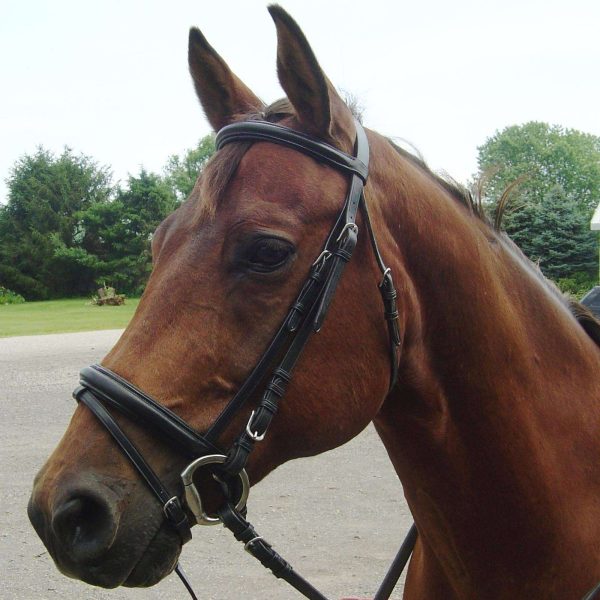 Paris Tack Black Leather Dressage Crank Horse Bridle with Flash and Rubber Reins - Image 4