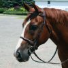 Paris Tack Everyday Raised Fancy Stitched Leather English Schooling Bridle with Laced Reins - Image 2