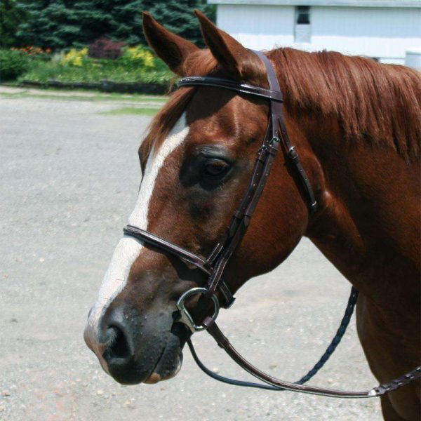 Paris Tack Everyday Raised Fancy Stitched Leather English Schooling Bridle with Laced Reins - Image 2