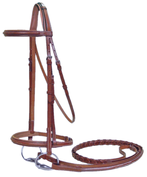 Paris Tack Padded Raised Fancy Stitched Leather English Schooling Bridle with Laced Reins